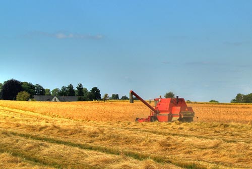 Scandinavia_0810_1.jpg