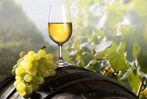 Wine-Grapes_0828_2.jpg