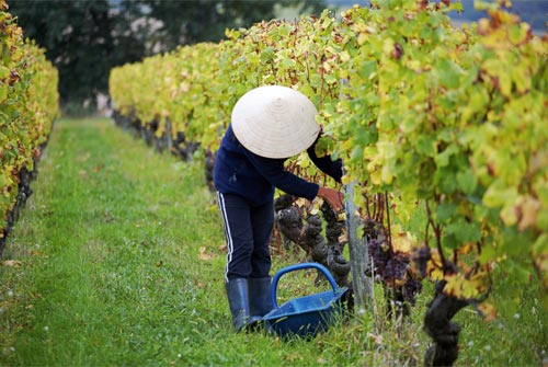 Le-Foll_0910_1.jpg