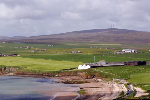 SCAPA_0918_5.jpg