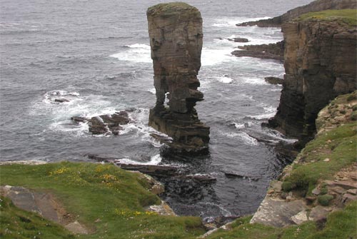 SCAPA_0918_6.jpg