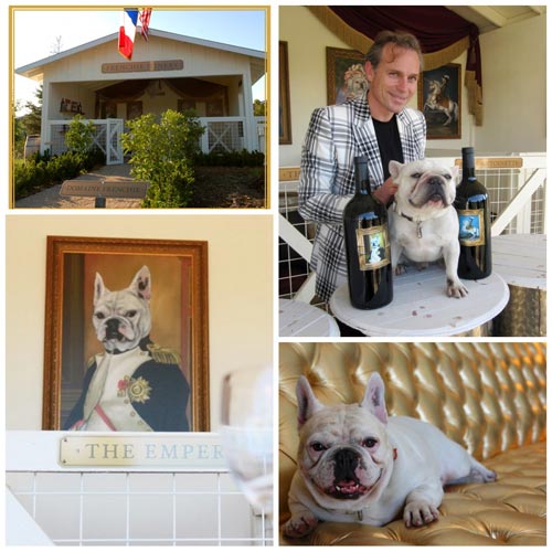 Frenchie_1025_1.jpg