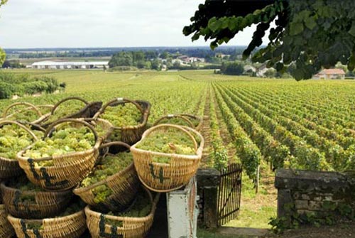 Latour_1214_1.jpg