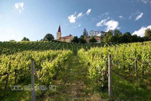 Austrian_0117_1.jpg