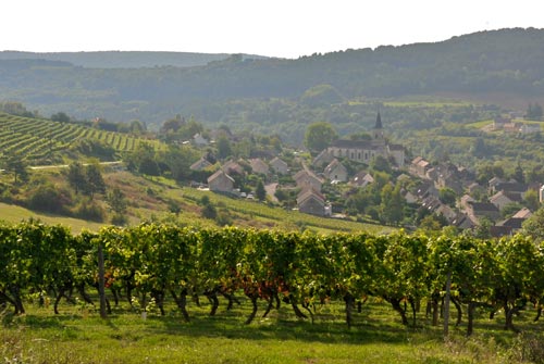 Burgundy_0114_1.jpg
