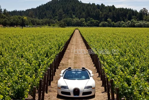 Napa_0109_1.jpg