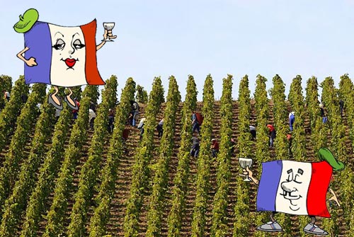 french-wine_0103_2.jpg