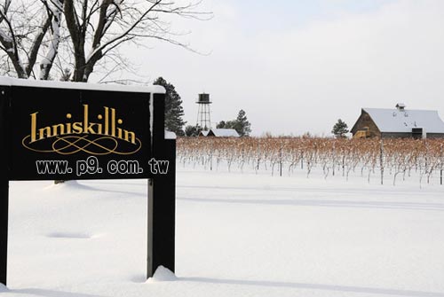 Inniskillin_0201_2.jpg