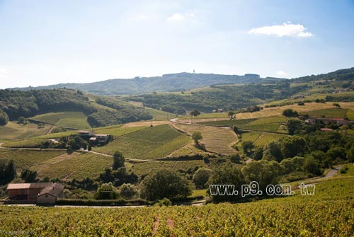 Inter-Beaujolais_0208_1.jpg