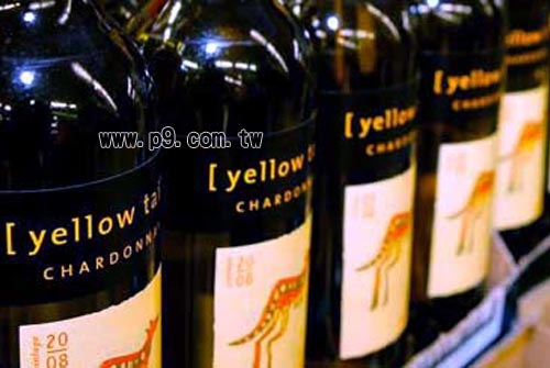 Yellow-Tail_0219_1.jpg