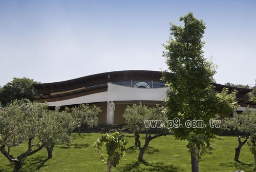 Zaccagnini_0313_9.jpg