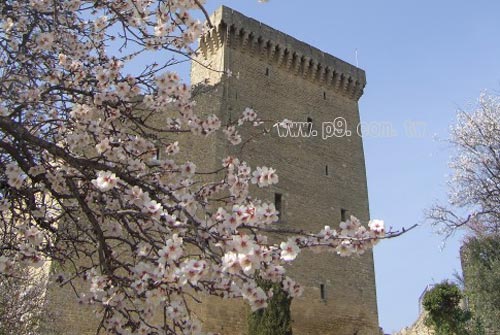 Chateauneuf_0408_1.jpg