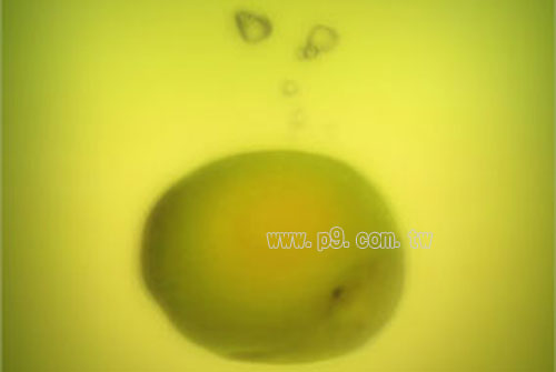 choya_0418_2.jpg