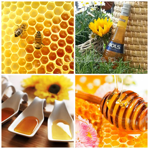 Bols-Honey_0517_1.jpg