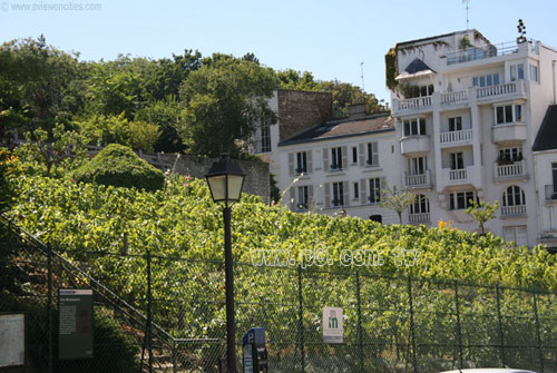 Ile-de-France_0514_1.jpg