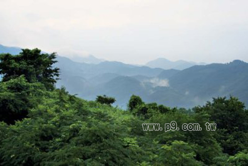 Koshu_0723_1.jpg
