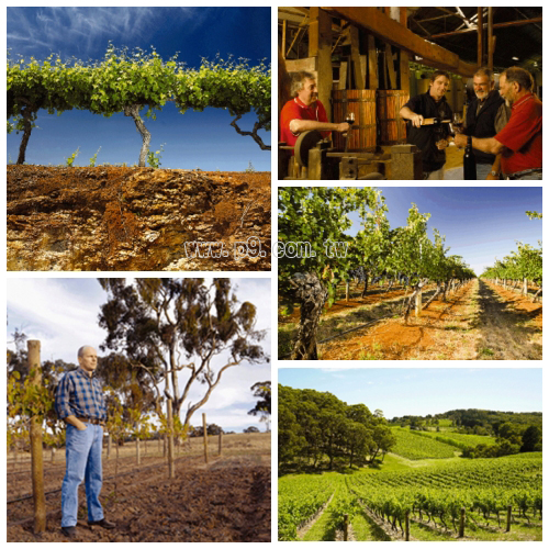 Wine-Enthusiast_0814_2.jpg