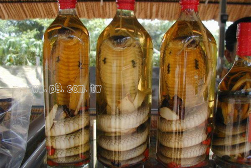 Snake-wine_1001_1.jpg