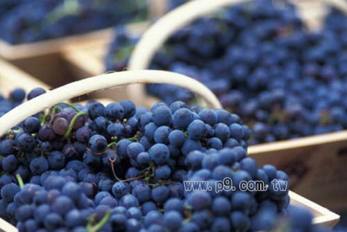 phenolic_1030_1.jpg