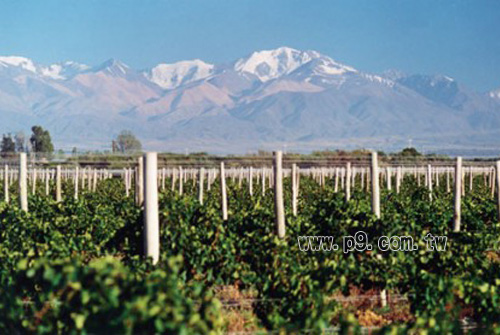 Argentina_1126_2.jpg
