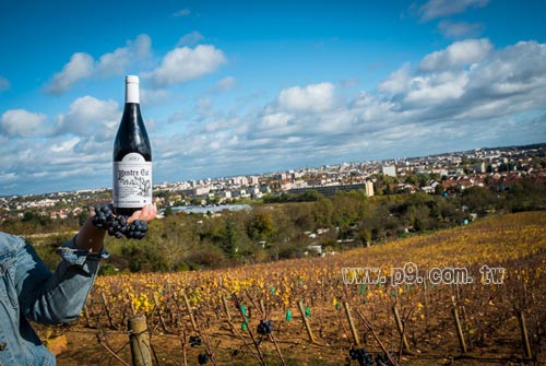 Domaine-de-la-Cras_0103_1.jpg