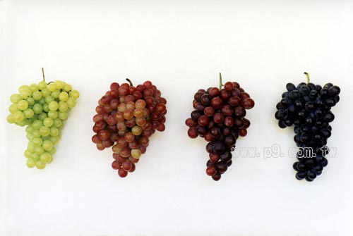 INRA_0106_1.jpg