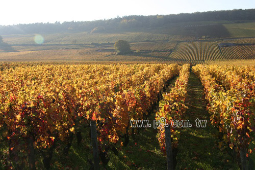 LoirePickers_1209_2.jpg