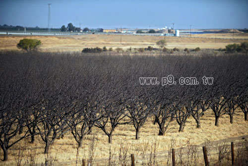 Ciatti_0225.jpg
