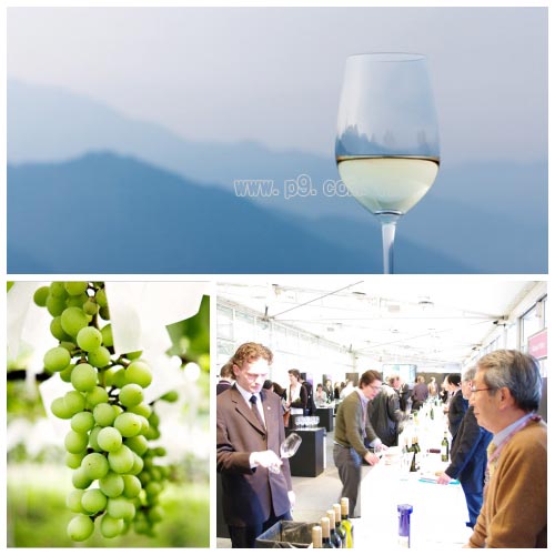 Koshu_0206_2.jpg
