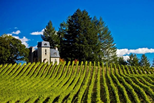 Yverdon_0204_1.jpg