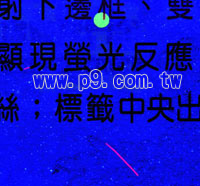 KKL_20140502A_24.jpg