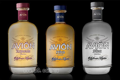 Avion_0807_1.jpg