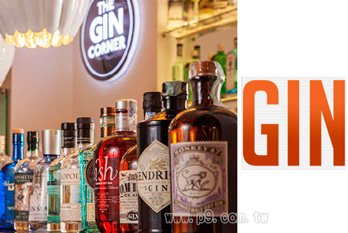 Gin-CGA_1.jpg