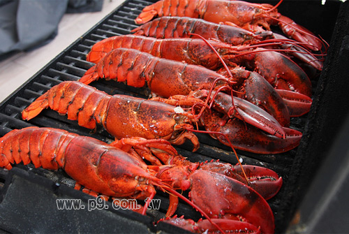Lobster_0922_1.jpg