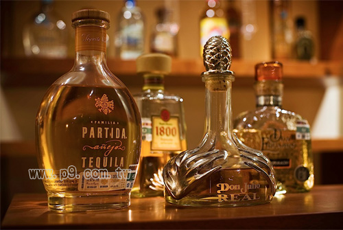 TEQUILA_20141007_01.jpg