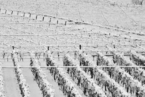 Abruzzo_0107_1.jpg