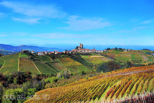 barolo_20150330_1.jpg