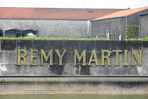 Remy_20150430_1.jpg