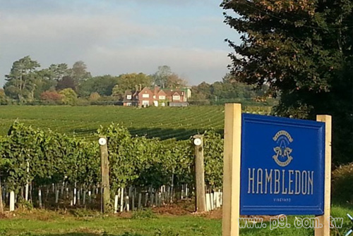 Hambledon_20150616_1.jpg