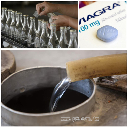 Viagra_20150817_2.jpg