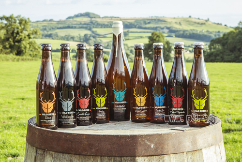 wildbeer_20150826_1.jpg