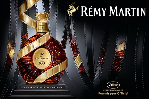 05130359_remy.jpg