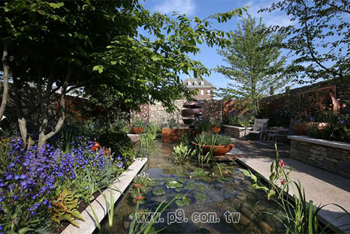 Silent-Pool_20180604_2.jpg