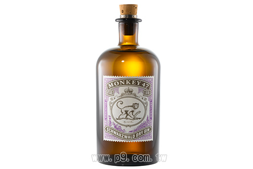 Monkey-47_20180926_5.jpg