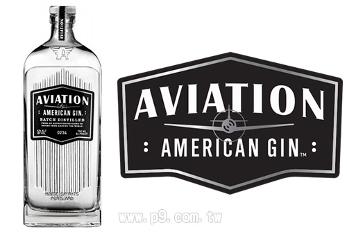 Aviation-American_20181017_2.jpg