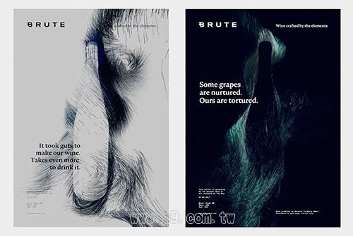 Brute_20181008_2.jpg