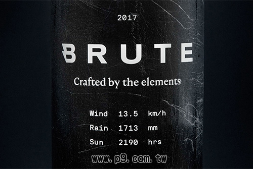 Brute_20181008_3.jpg