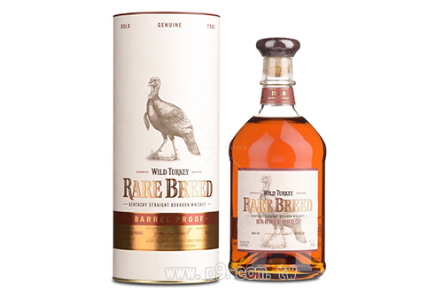 Wild-Turkey_20190409_3.jpg
