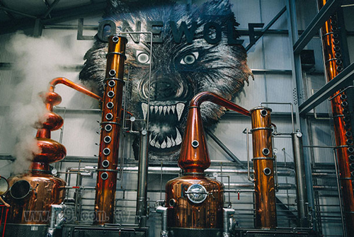 Brewdog_1128_2.jpg
