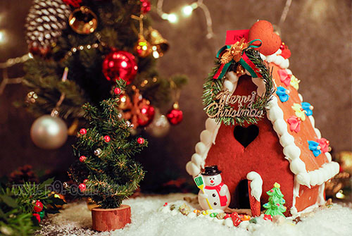 Gingerbreadhouse_1210_4.jpg